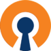 Logo von OpenVPN